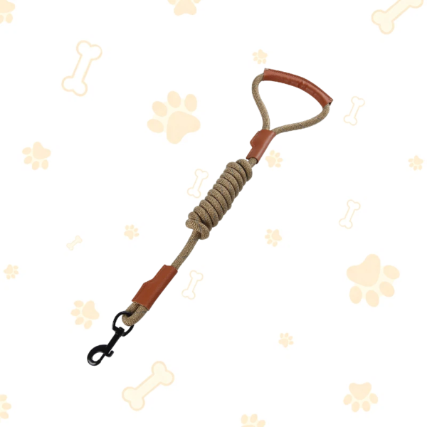 Durable Reflective Nylon Dog Walking Leash, Sturdy Braided Rope Lead with Electroplated Alloy Hook