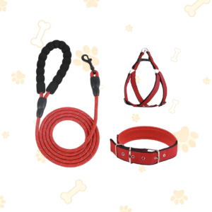 Complete Dog Leash Harness Collar Set, Reflective Nylon Walking Kit with Soft EVA Comfort Handle