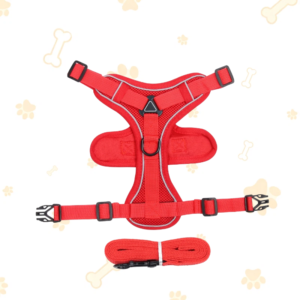Breathable Mesh Dog Harness Leash Kit, Escape Proof Anti-Choke Reflective Pet Walking Vest